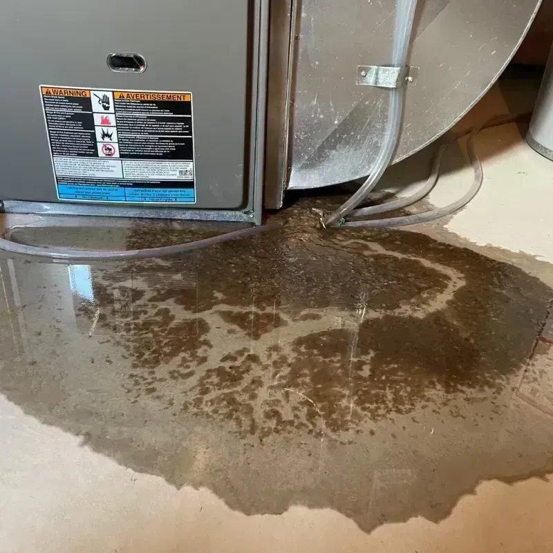 Appliance Leak Cleanup in Wilkesboro, NC